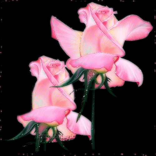 rozi (189)