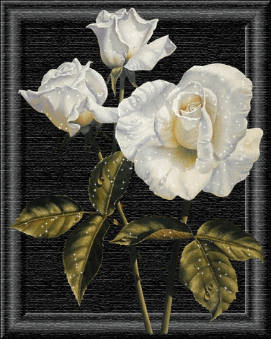 rozi (99)