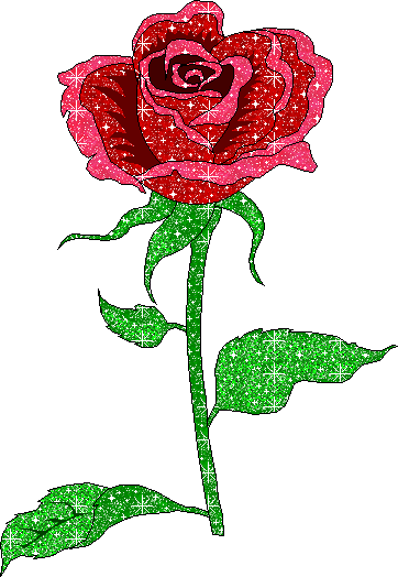rozi (80)