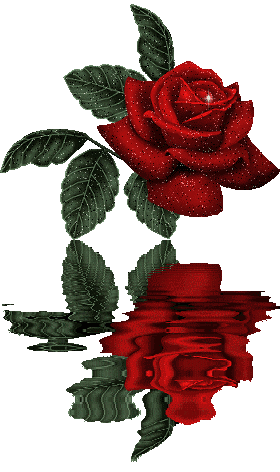 rozi (40)