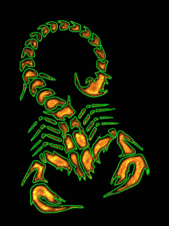 skorpion (3)