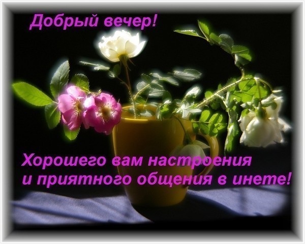http://zdesvsyo.ru/_ph/214/2/540871191.jpg