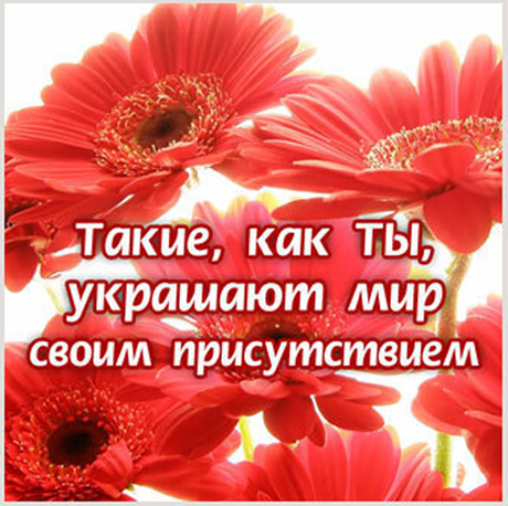 Komplimenti_devushkam (8)