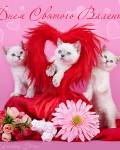 открытки картинки С днём святого Валентина