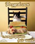 открытки картинки С днём кошек