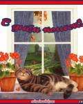 открытки картинки С днём кошек