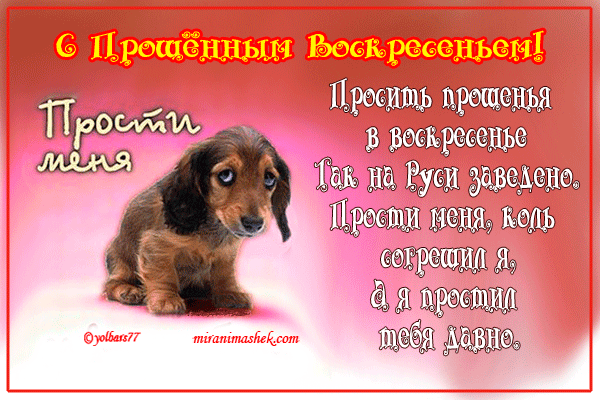 proshyonnoe_voskresenye (12)