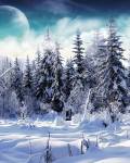 Картинки, рисунки Зима