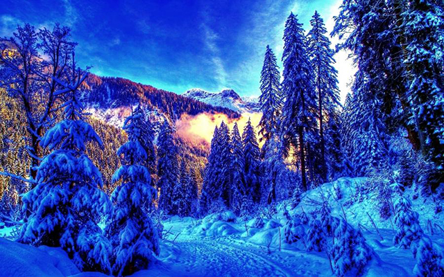 priroda-zimoj (1)
