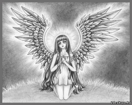 angel (69)