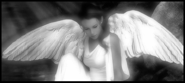 angel (159)