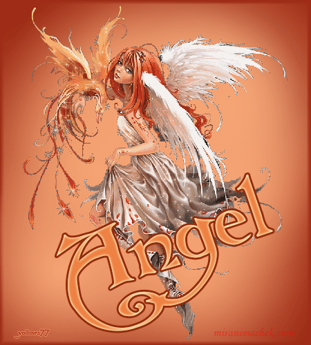 angel (6)