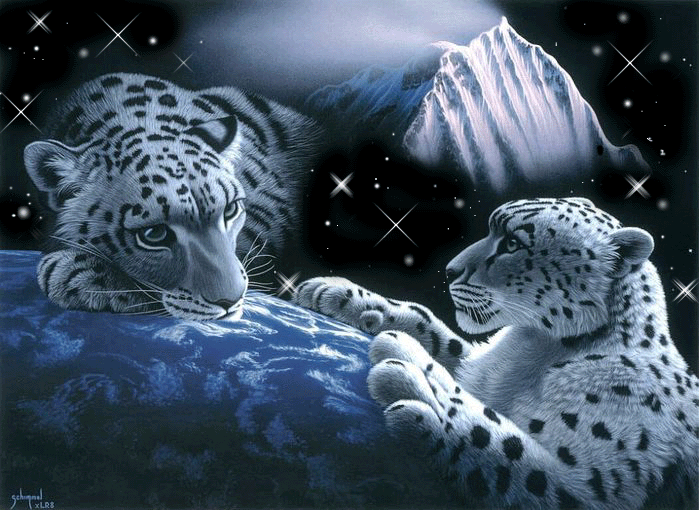 leopard (9)