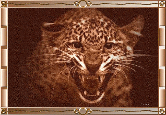 leopard (14)