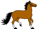 koni (4)